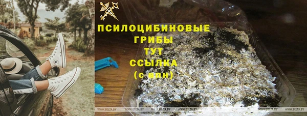 дживик Нягань