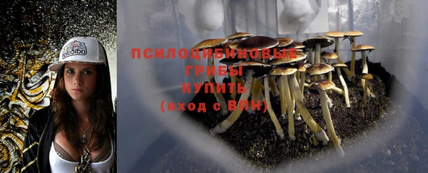 дживик Нягань