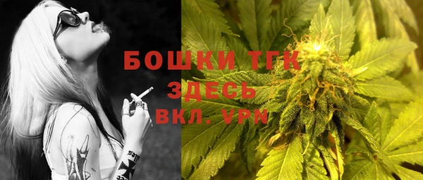 мяу мяу кристалл Няндома